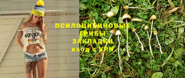 гидра Арсеньев