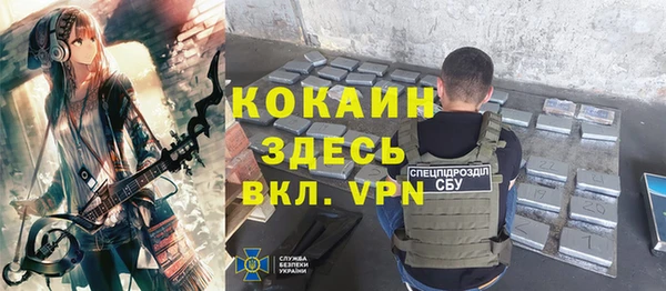 гидра Арсеньев