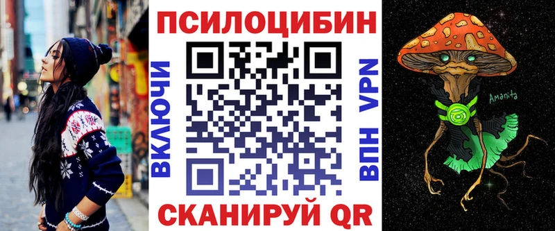 Псилоцибиновые грибы Psilocybine cubensis  Купить  Спасск 